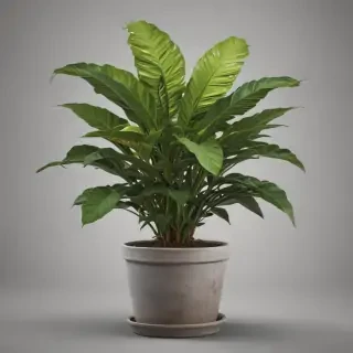 potted plant png