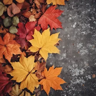 autumn background iphone