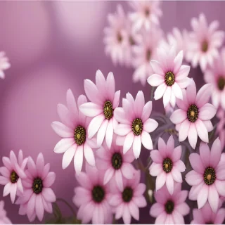 flower computer background