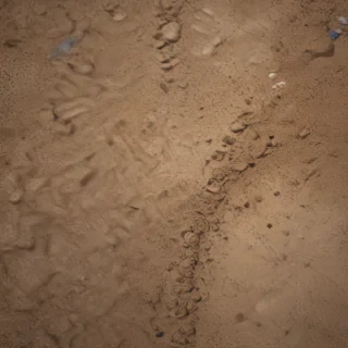 ground png