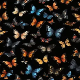 butterflies in black background