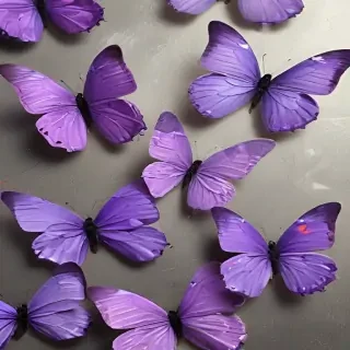 purple butterflies