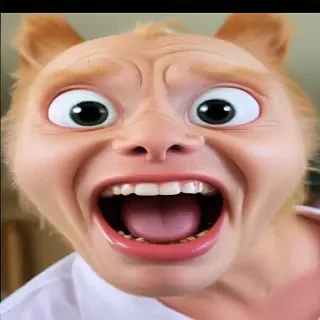 funny videos