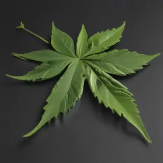 weed leaf png