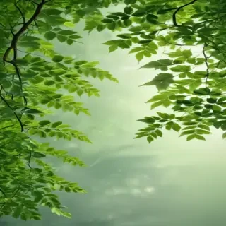 green leaves background