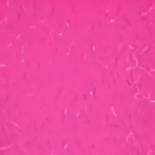 neon pink bg