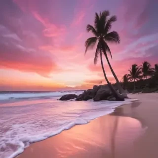 pink beach aesthetic