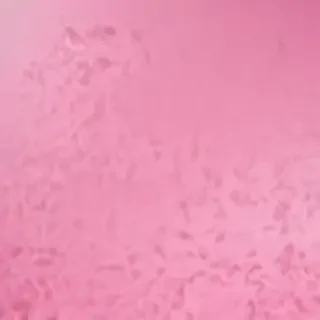pink plain background