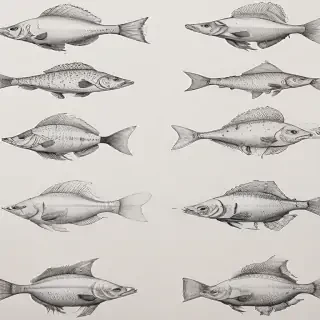 fish drawings