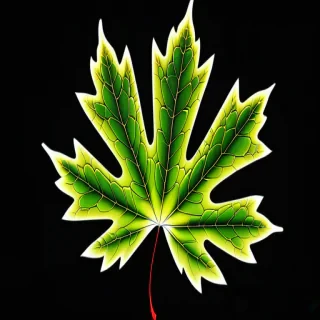 leaf wallpaper iphone