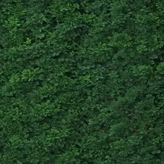 green background wallpaper aesthetic