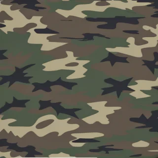 camo background