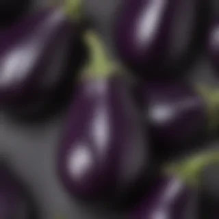 new eggplant friday
