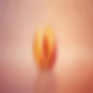 light peach background