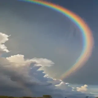 transparent rainbow