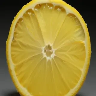 lemon transparent