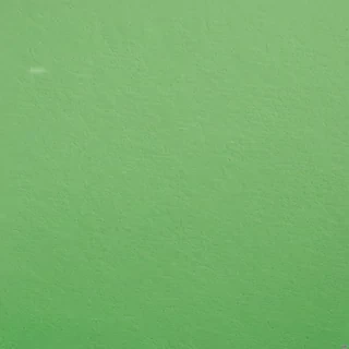 plain green bg