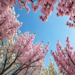 spring iphone wallpaper