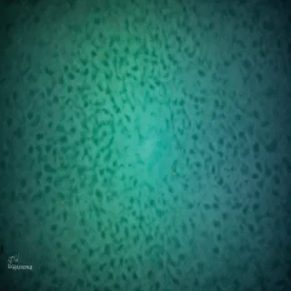 blue green background