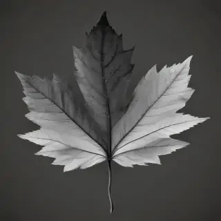 black and white leaf clip art