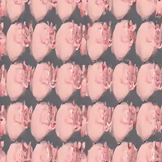 pig background