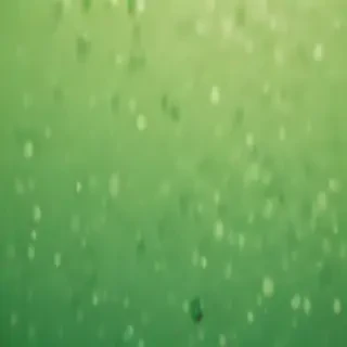 iphone wallpaper green