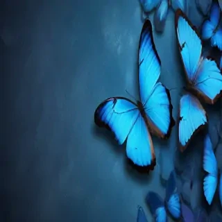 blue butterfly background
