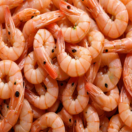 shrimp png