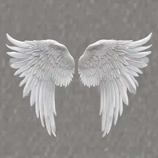 wings transparent