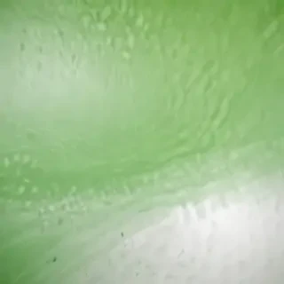 green white background