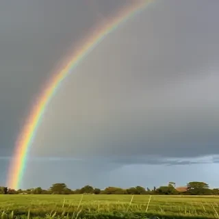 double rainbow