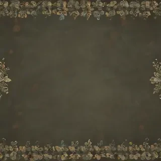 border bg