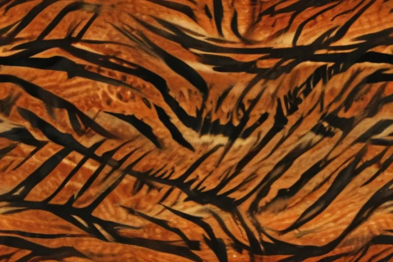 tiger stripes png