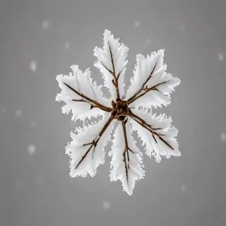 snow transparent background