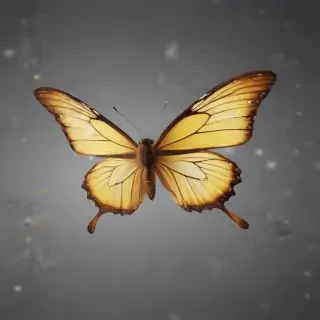 butter fly png