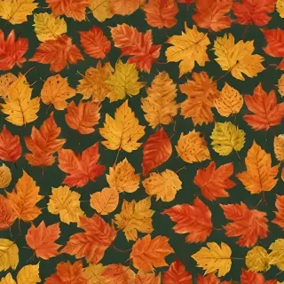 autumn leaf png