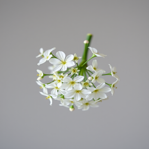 create an image of a delicate bouquet of white flowers with a soft gray background, using a DSLR camera, 50mm lens, f/2.8 aperture, ISO 100, natural lighting, and a shallow depth of field to enhance details and texture.