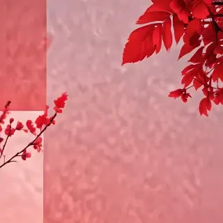 aesthetic red bg
