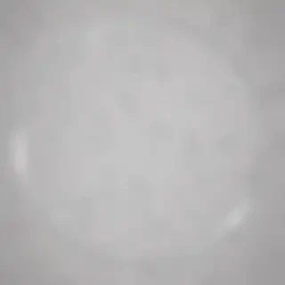 circle transparent