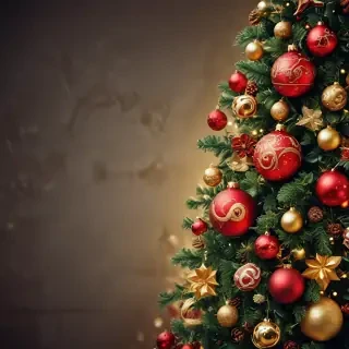 christmas cover photos