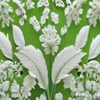 green and white backgrounds