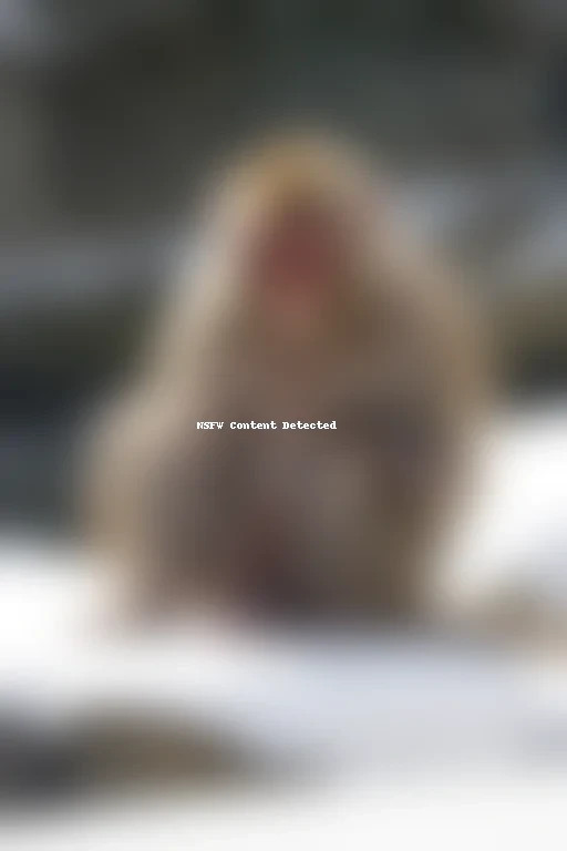 snow monkey