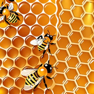 honey background