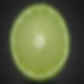 lime png