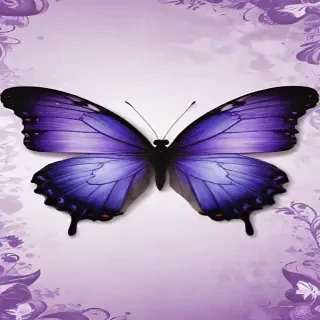 wallpaper purple butterfly