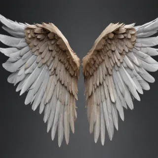 angel wings transparent background