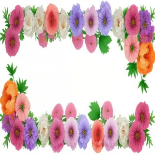 flowers png transparent background