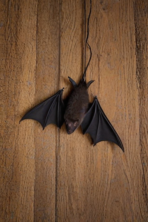 pictures of bats for halloween