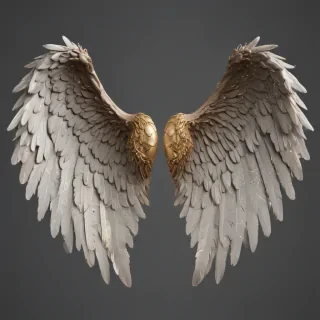 angel wings png transparent