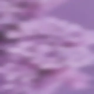 lilac aesthetic